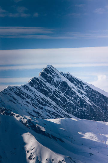 瑰雪黑阳